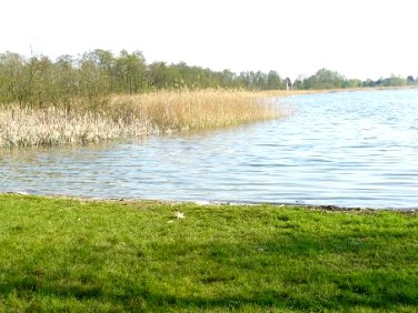 Działka budowlana Rybojedzko