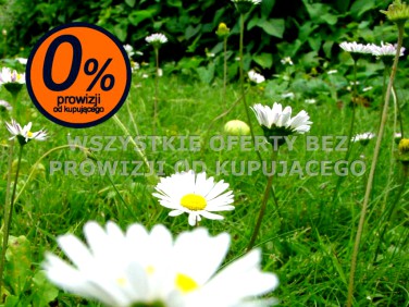 Działka nad jeziorem