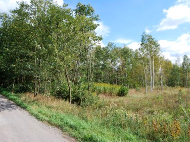 Działka budowlana Ostrowiec Świętokrzyski