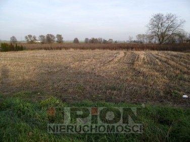 Działka budowlana Pobiedziska