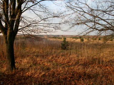 Działka rolna Kałuszyn