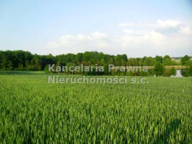 Działka budowlana Jeżewo