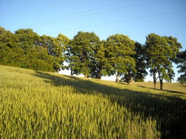 Działka rolna Lutry