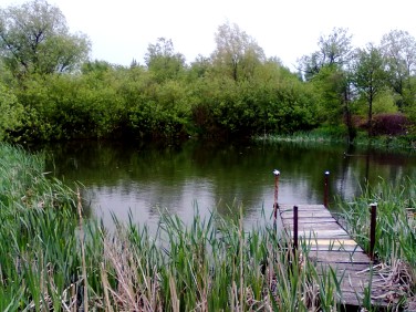 Działka budowlana Środa Śląska