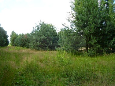 Działka Książenice