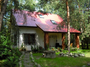 Działka rekreacyjna Brzóza