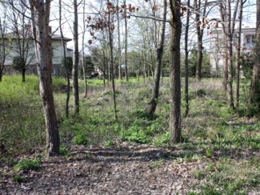 Działka budowlana Sulejówek