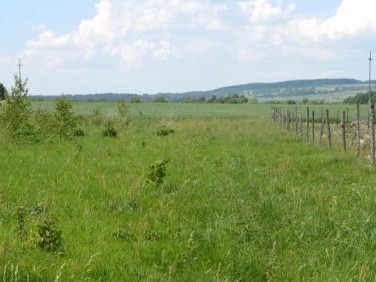 Działka budowlana Świeradów-Zdrój