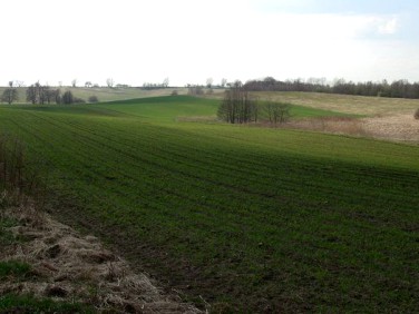 Działka rolna Rydzewo