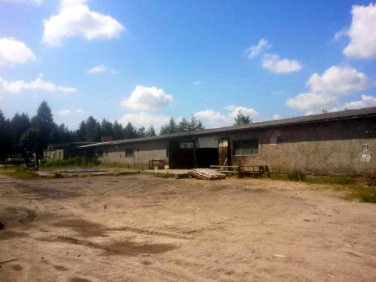 Budynek użytkowy Koleczkowo