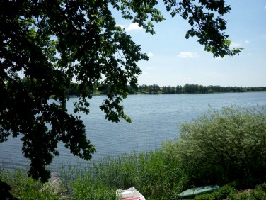 Działka siedliskowa Lutry