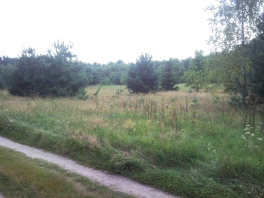 Działka budowlana Rudka