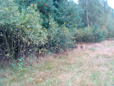 Działka budowlana Lesznowola