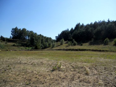 Działka budowlana Koleczkowo sprzedam