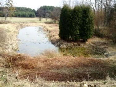 Działka budowlana Tworóg