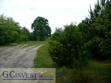 Działka budowlana Sulejówek