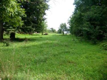 Działka siedliskowa Suraż