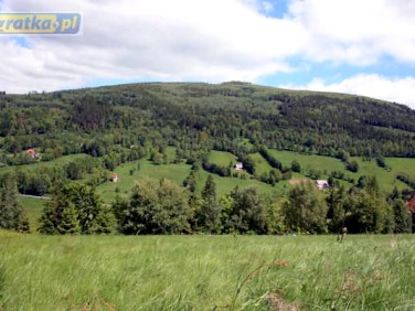 Działka budowlana Świeradów-Zdrój