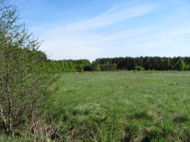 Działka budowlana Lesznowola