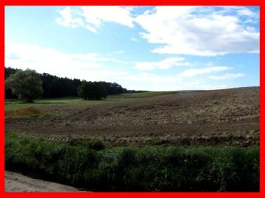 Działka budowlana Stęszew