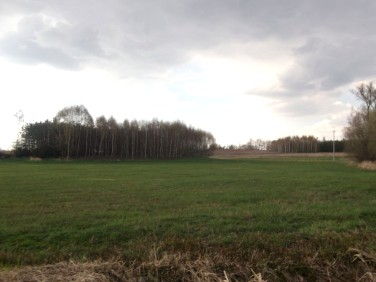 Działka rolna Suraż