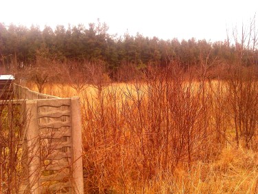 Działka budowlana Ostrowiec Świętokrzyski