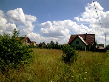 Działka rolna Wielgolas Brzeziński