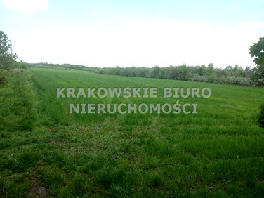 Pusta działka Sieborowice