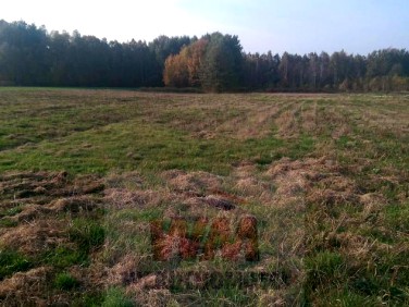 Działka budowlana Prażmów