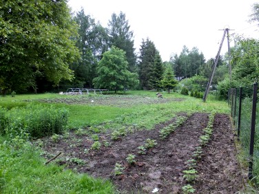 Działka budowlana Libertów