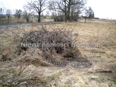 Działka Środa Śląska