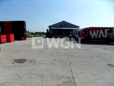 Budynek użytkowy Piotrków Trybunalski