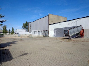 Budynek użytkowy Piotrków Trybunalski