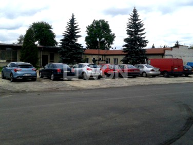 Budynek użytkowy Piotrków Trybunalski