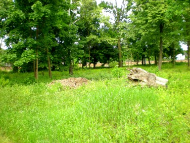 Działka budowlana Sulejówek