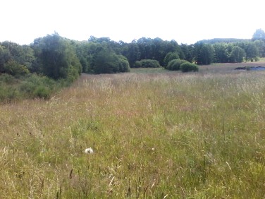 Działka rolna Łebień