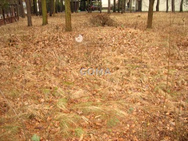 Zalesiona działka Sulejówek