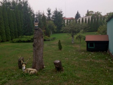 Dom Starogard Gdański