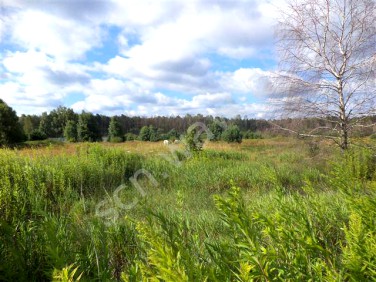Działka budowlana Łomna-Las