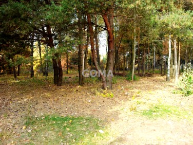 Pusta działka Sulejówek