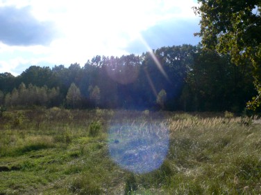 Działka budowlana Sulejówek