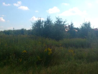 Działka budowlana Sulejówek