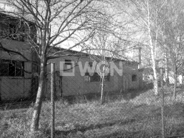 Budynek użytkowy Szprotawa