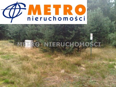 Działka przy lesie