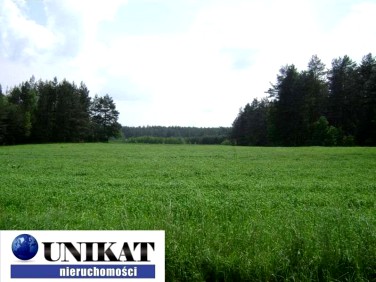 Działka przy lesie