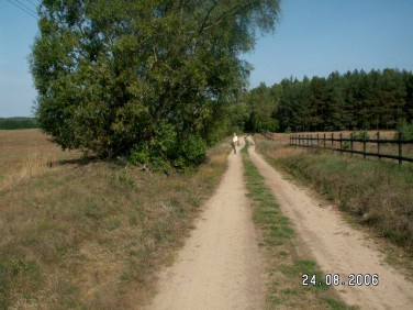 Działka siedliskowa Silna