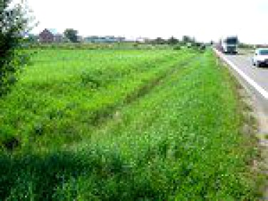 Działka rolna Grajewo