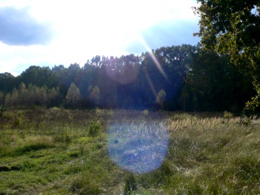 Działka budowlana Sulejówek