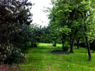 Działka budowlana Będzin