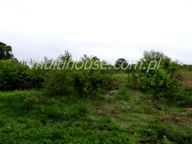 Działka budowlana Sulejówek